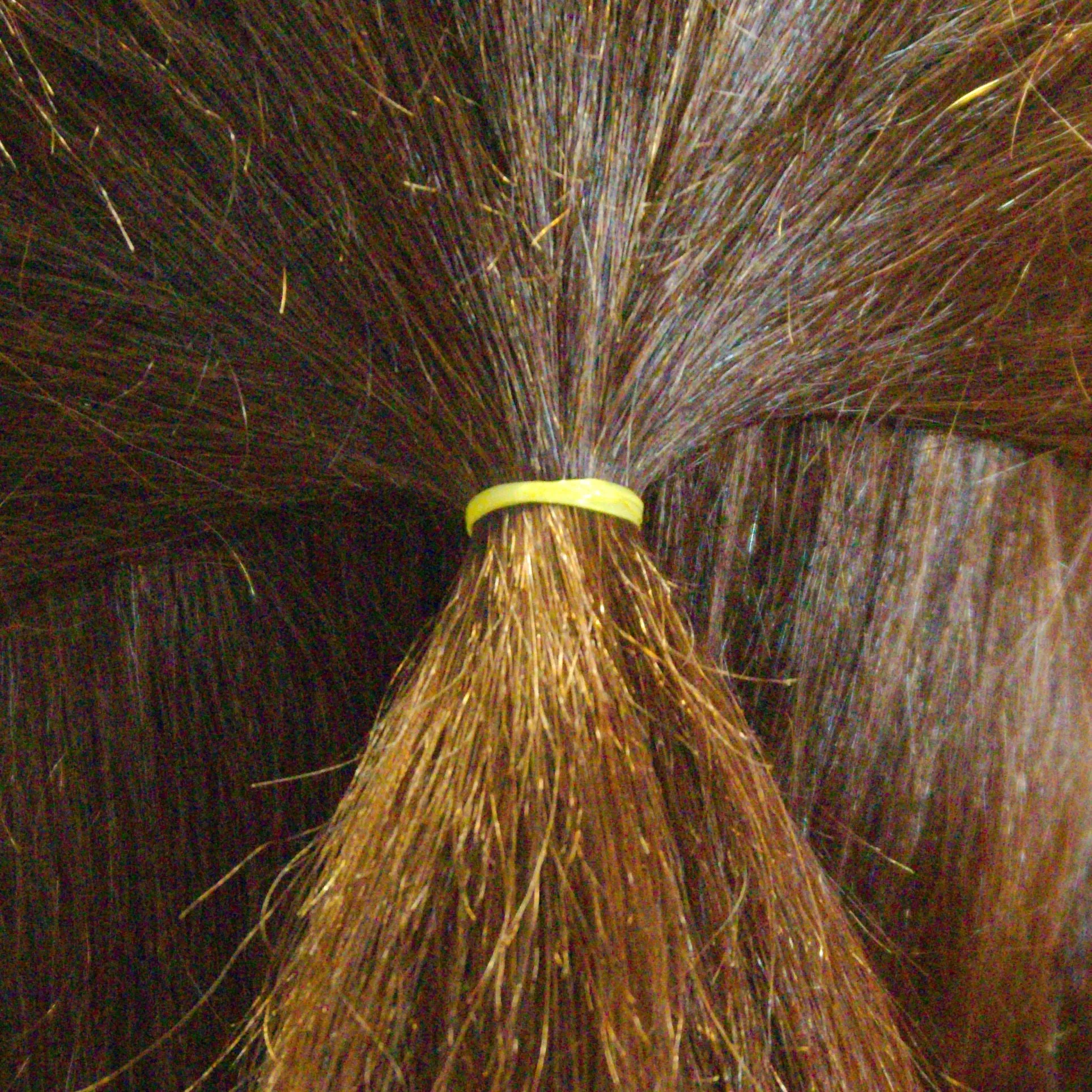 Amelia Beauty | 1/2in, Brights Neon Mix, Tangle Free Elastic Pony Tail Holders | Made in USA, Ideal for Ponytails, Braids, Twists. For Women, Girls. Pain Free, Snag Free, Easy Off | 1000 Pack