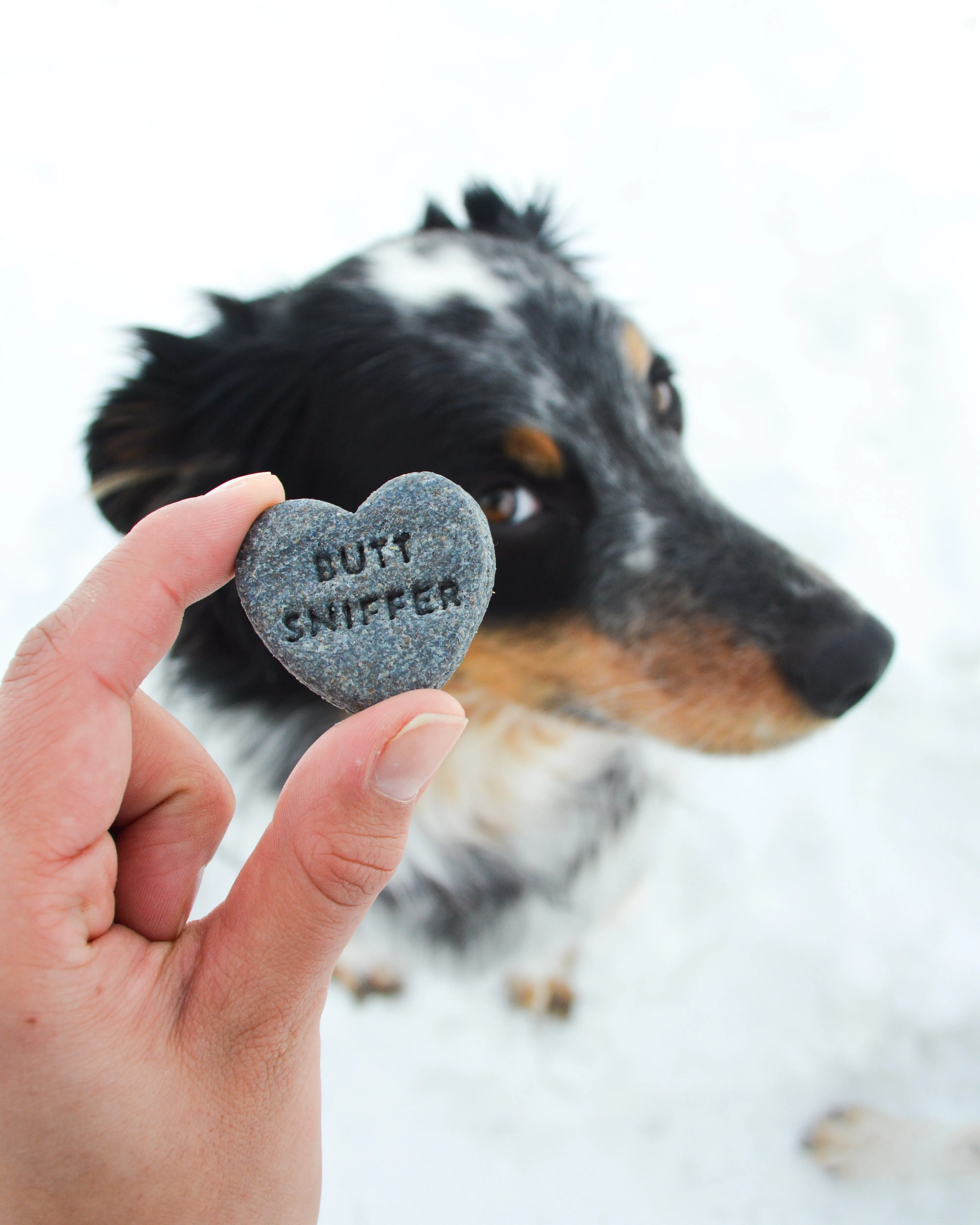 Conversation Heart Shaped Cookie Cutter (CREATE YOUR OWN BUNDLE of 5- PLUS FREE Mini Heart Cookie Cutter)