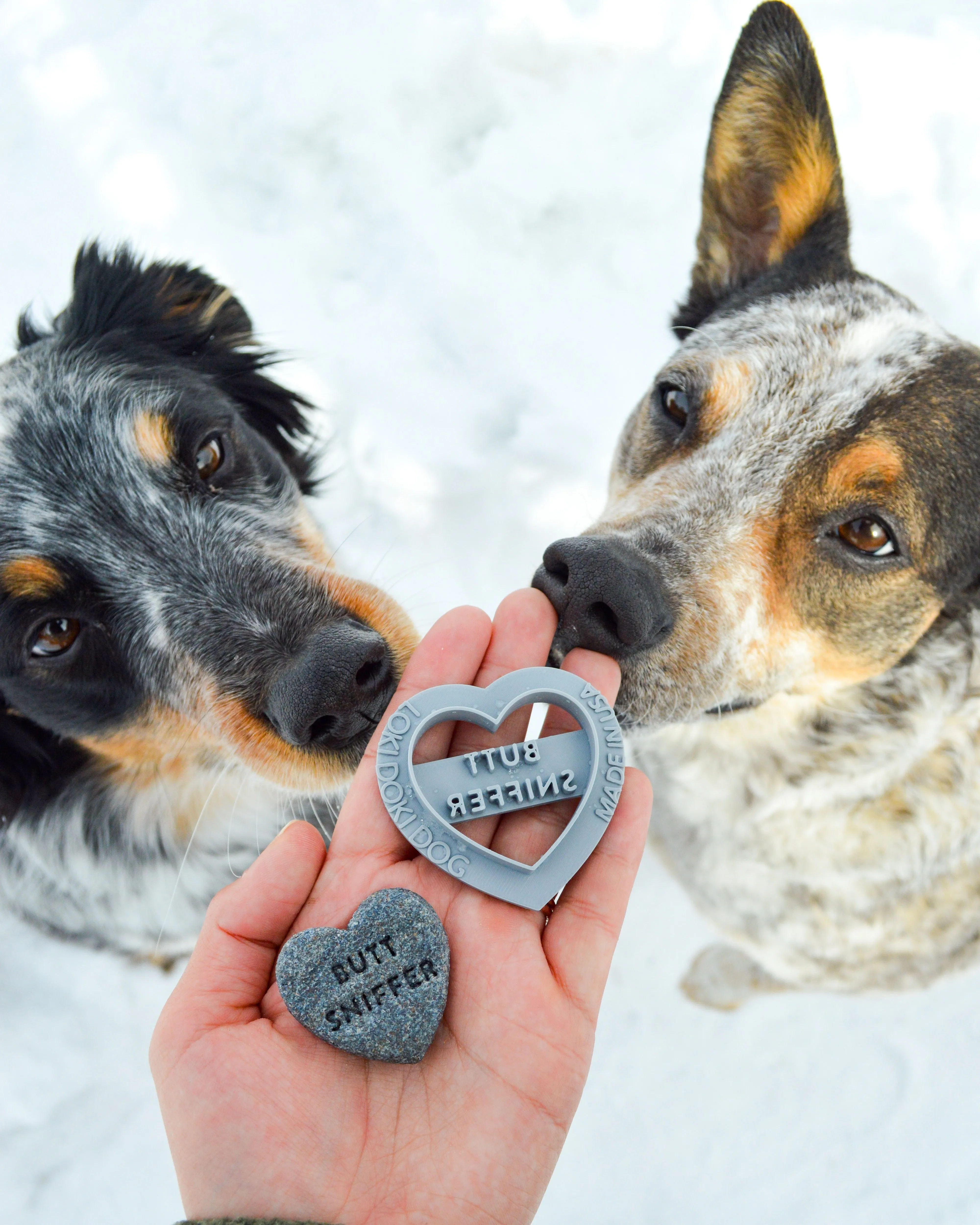 Conversation Heart Shaped Cookie Cutter (CREATE YOUR OWN BUNDLE of 5- PLUS FREE Mini Heart Cookie Cutter)