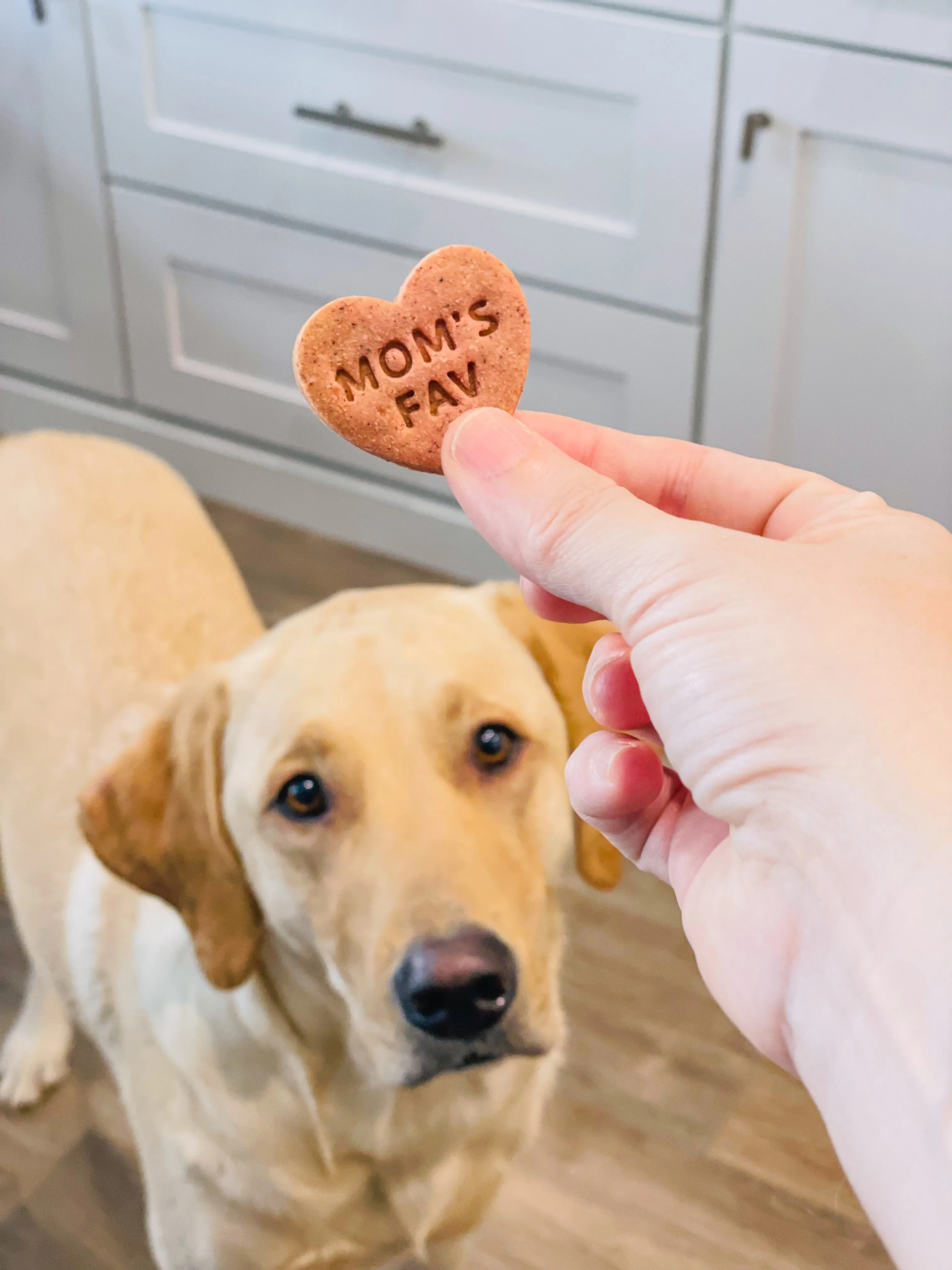 Conversation Heart Shaped Cookie Cutter (CREATE YOUR OWN BUNDLE of 5- PLUS FREE Mini Heart Cookie Cutter)