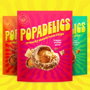 Crunchy Mushroom Chips-3 Pack Variety Option