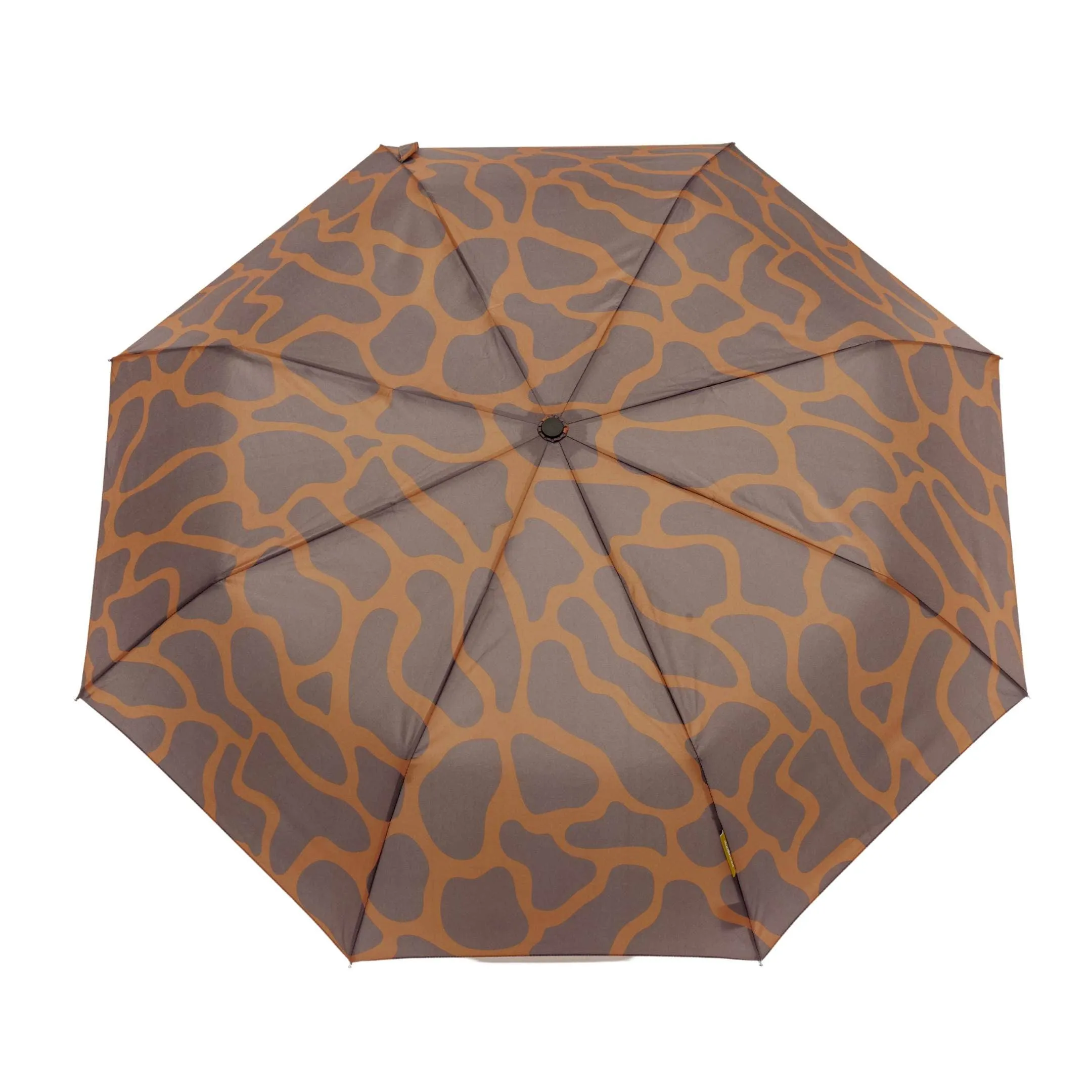 Daily Ripples Umbrella
