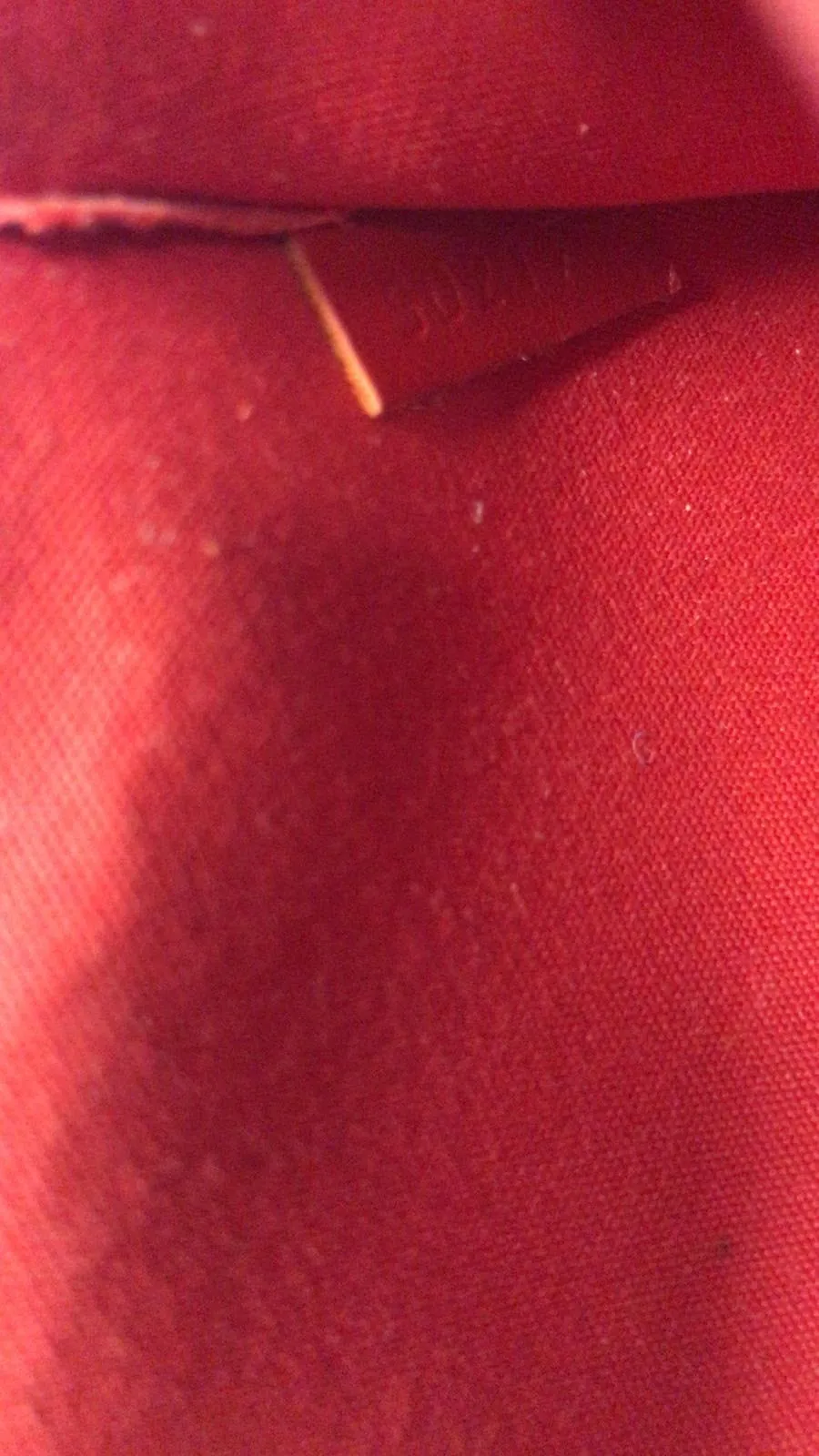 LOUIS VUITTON Cerise Monogram Vernis Pochette Felicie Crossbody Bag