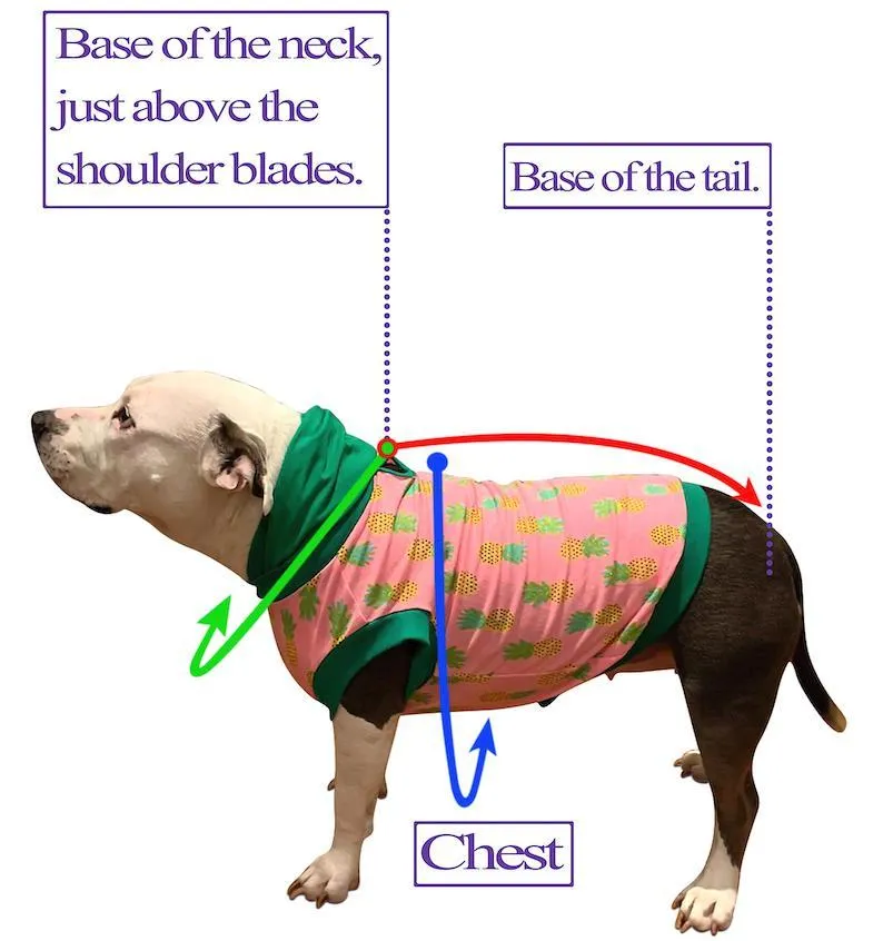 Mrs. Claus Dress with Velcro Closure