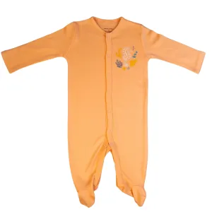 Seahorse Organic Baby Sleepsuit with Close Toe