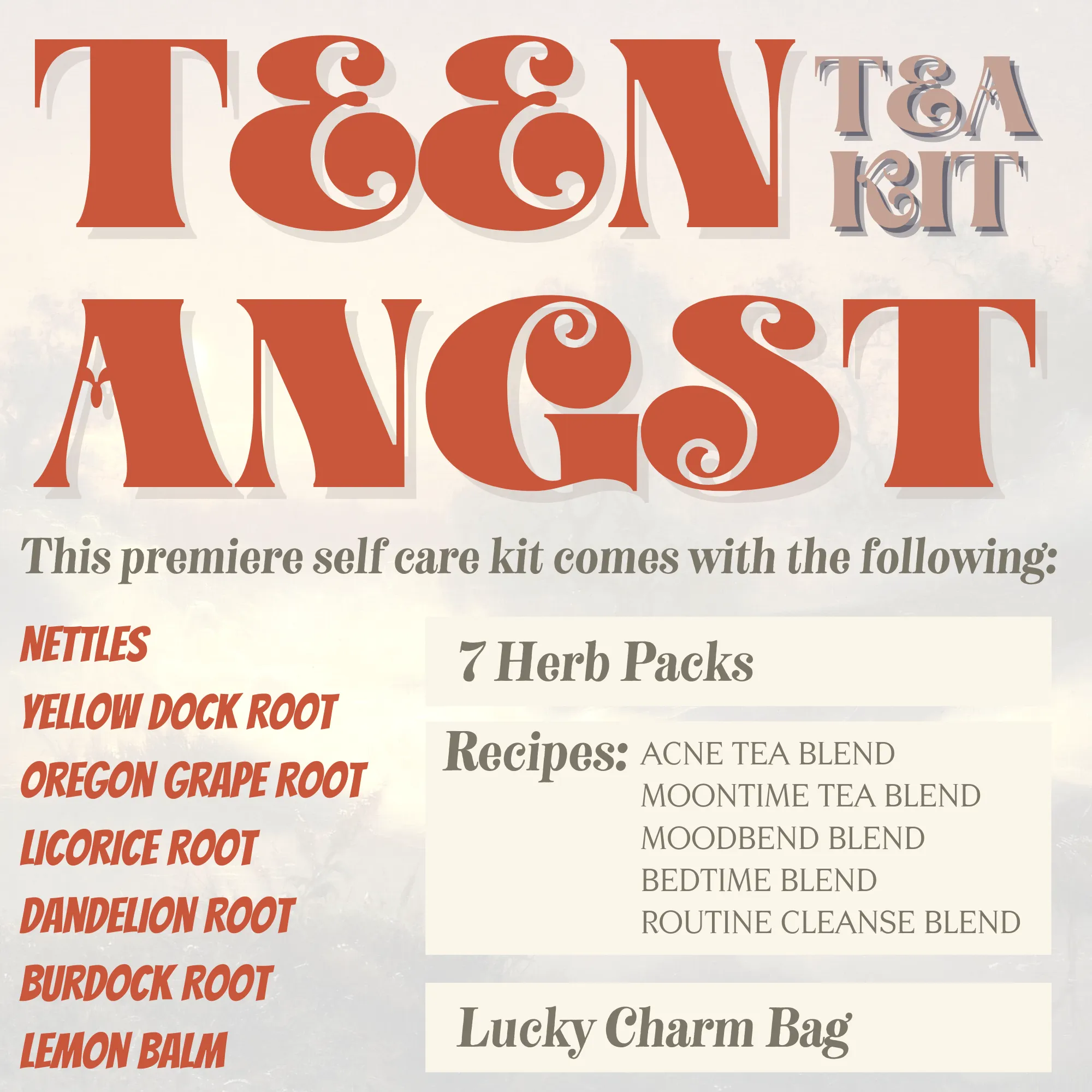 Teen Angst Tea Kit